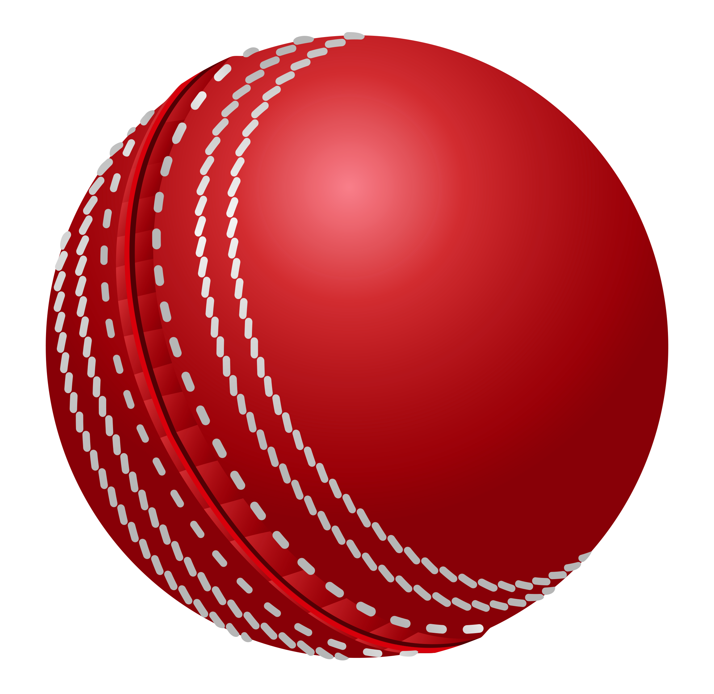 Bat Image