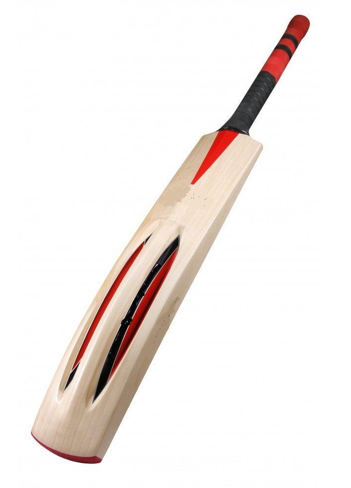 Bat Image